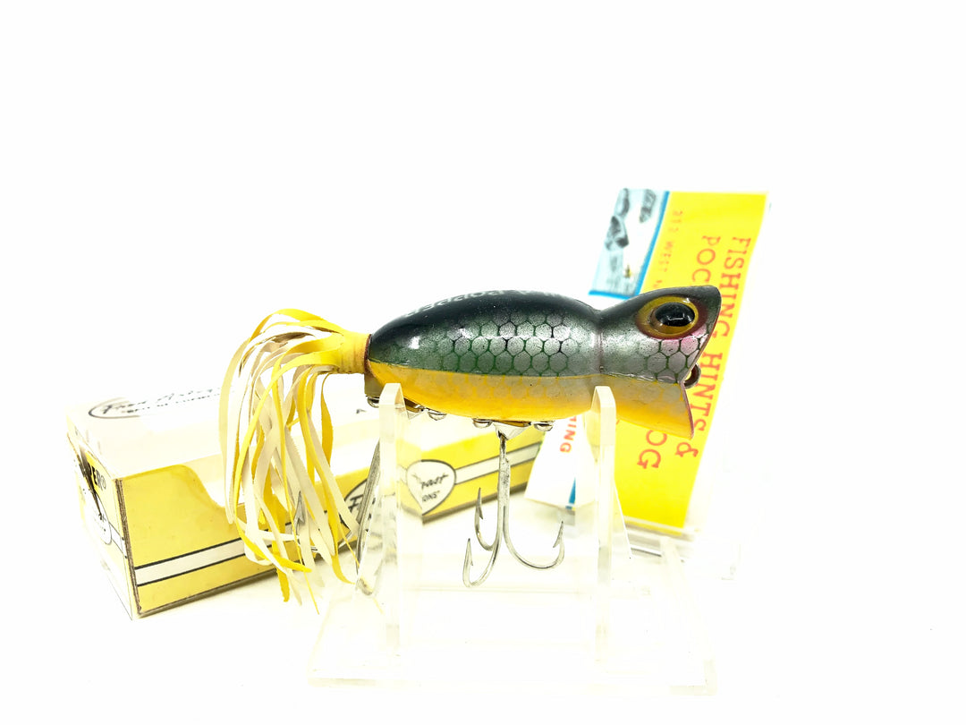 Arbogast Hula Popper 750, P Perch Color with Box - Vintage Bug Eyed