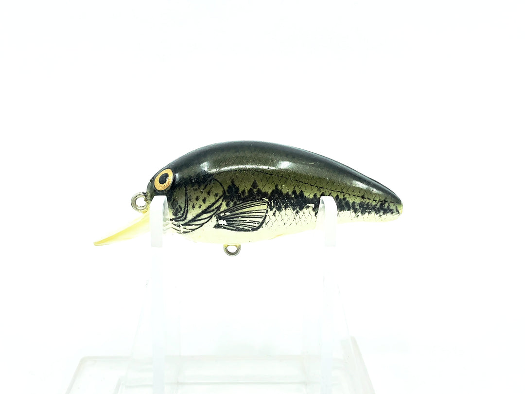 Bomber Model A 2A, XBB Photo Print Baby Bass Color Screwtail