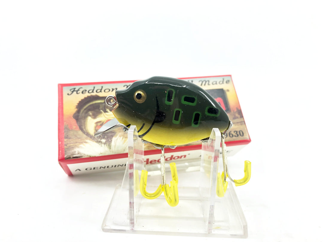 Heddon 9630 Punkinseed X9630BF Bull Frog Color New in Box