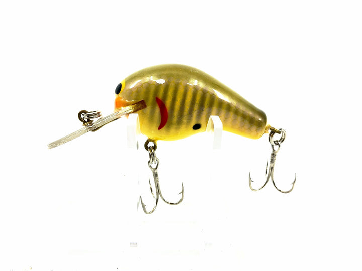 Bagley Diving Killer Balsa DKB1-GOS, Golden Shiner Color - All Brass