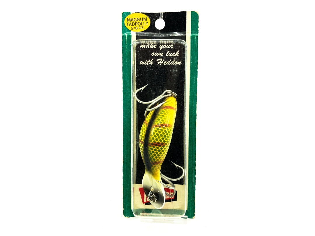 Heddon Magnum Tadpolly 9006, L Perch Color on Card