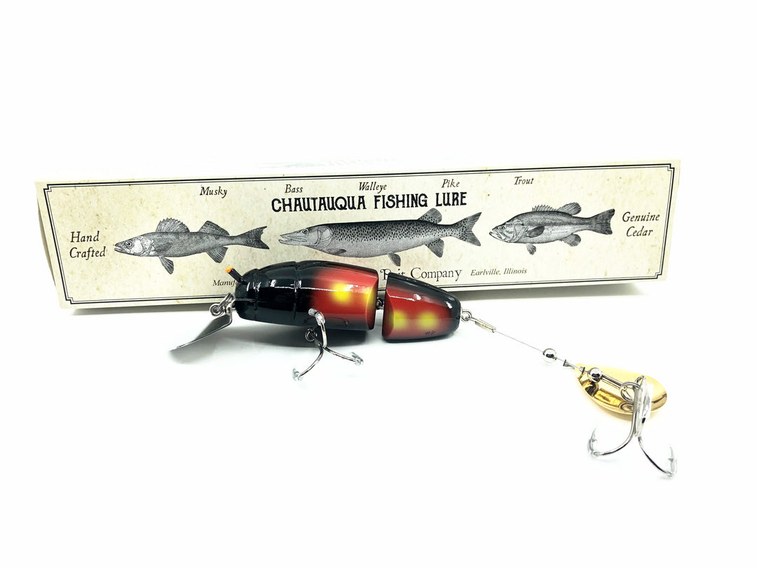 Chautauqua Jointed Deep Diver Beetle, Red &amp; Black Beetle Color