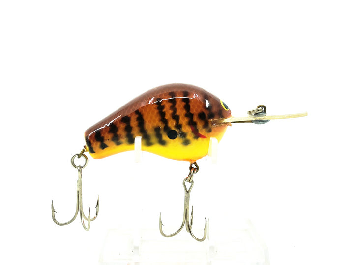 Bagley Diving B2 DB2-SBG, DC9 Dark Crayfish on Orange Color