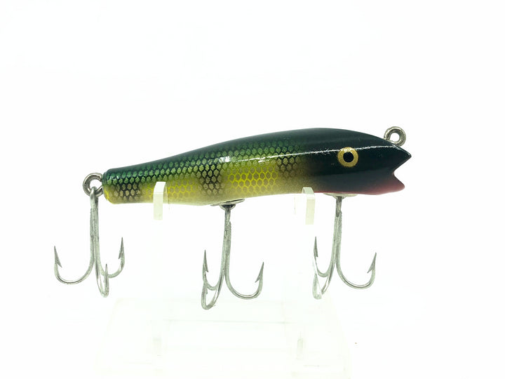 Creek Chub Concave Darter, #01 Perch Color