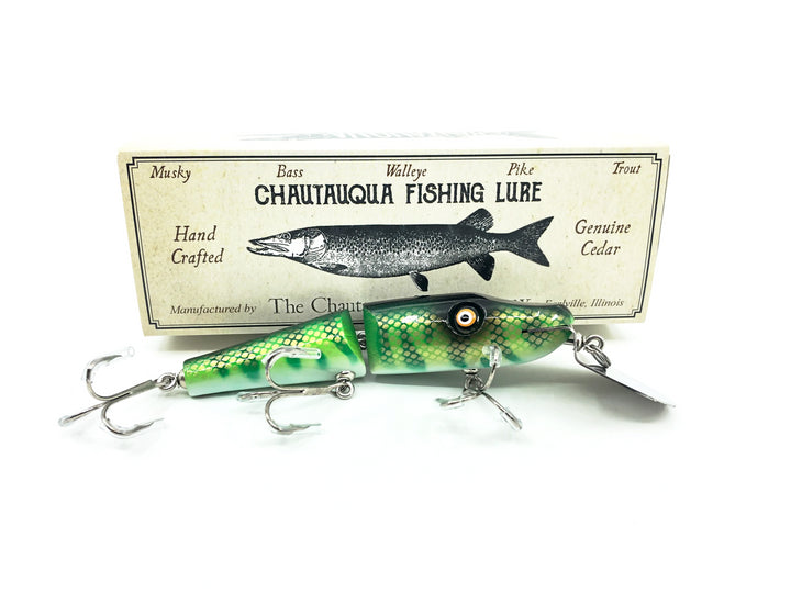 Chautauqua Jointed Creek Chub, Green Perch Color