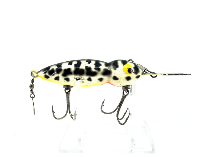 Whopper Stopper Hellbender, Coachdog Color