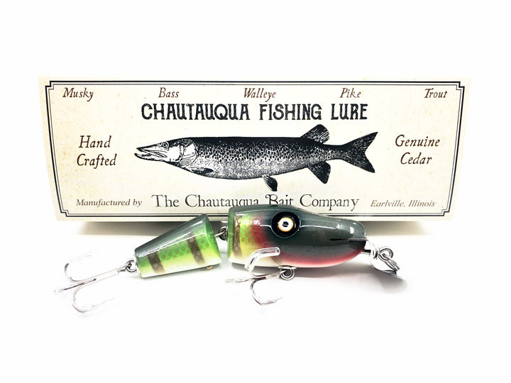 Chautauqua Lil' Creek Chub, Yellow Perch Color