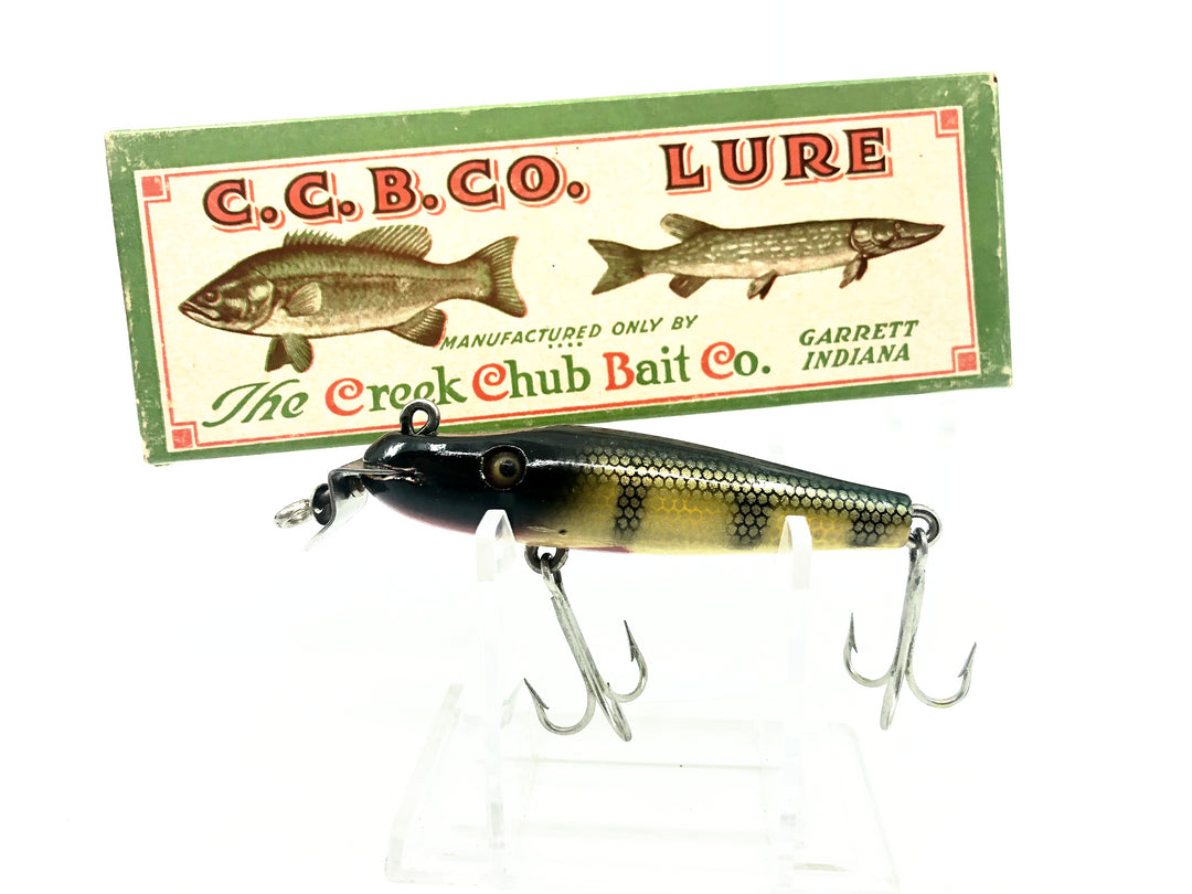 Creek Chub 2200 Midget Pikie, 2201 Perch Color w/Box - DLT