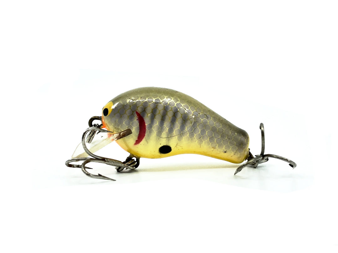 Bagley Diving Honey B1 HB1, GOS Golden Shiner Color