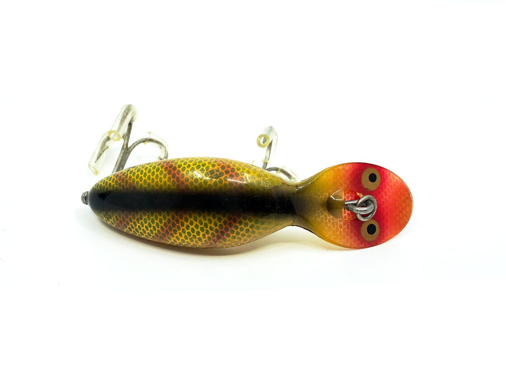 Heddon Tadpolly, L Perch Color