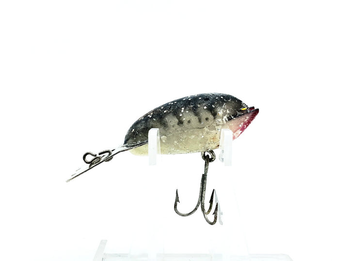 Arbogast Mud Bug, White/Black Back & Bars/Flitter Color