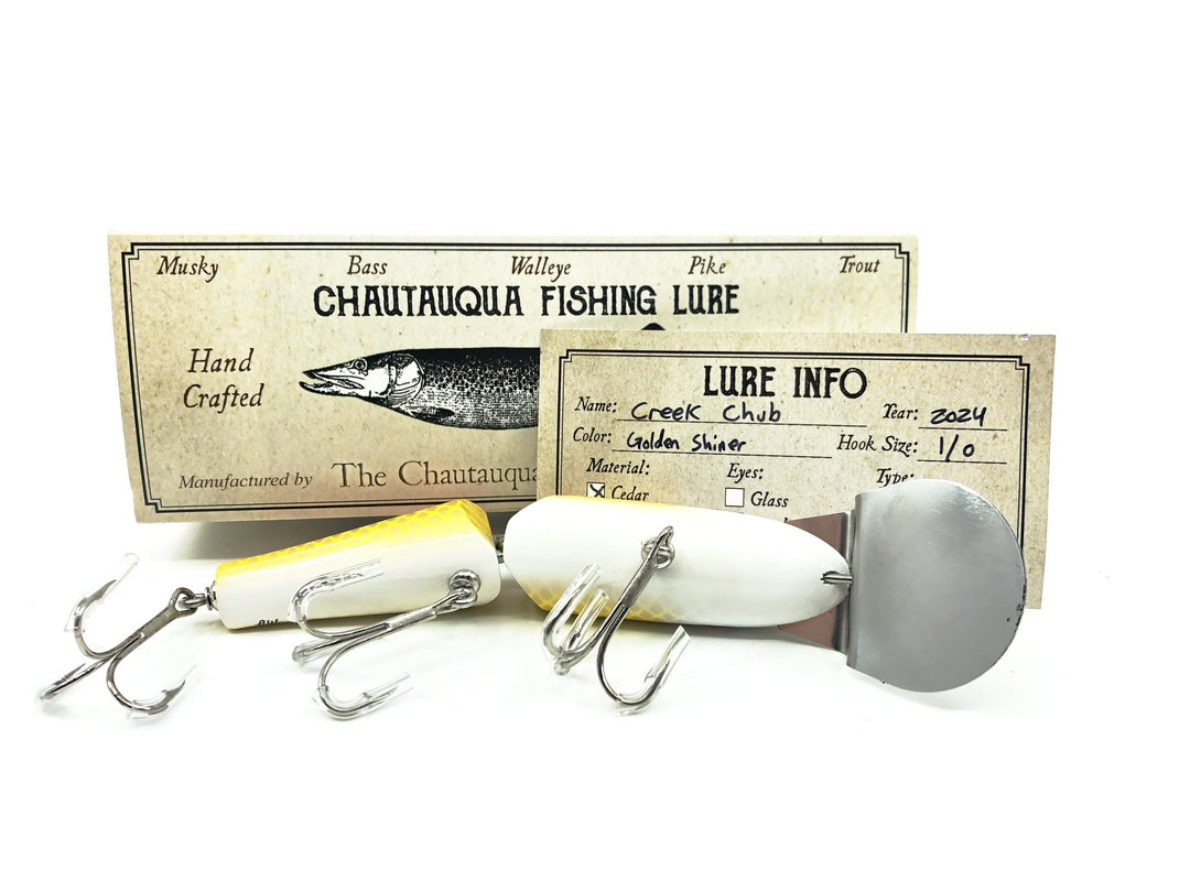 Chautauqua Jointed Creek Chub, Golden Shiner Color