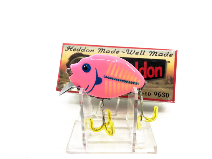 Heddon 9630 Punkinseed X9630PKCBB Pink and Creme Shore Color New in Box