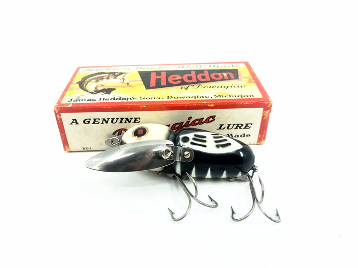 Heddon&nbsp;Crazy Crawler 2100, BWH Black Hornet Color with Box