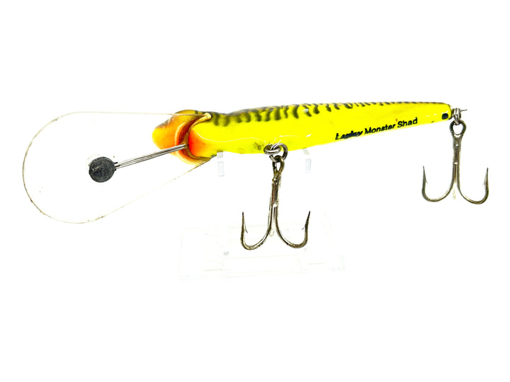 Bagley Monster Shad MSD-LMY Little Musky on Yellow Color