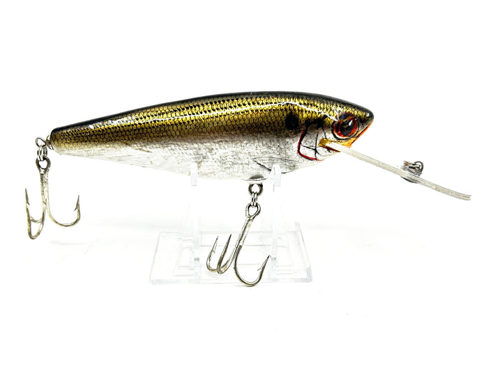 Bagley Monster Shad MSD Shad Color - Older Version