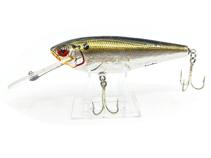 Bagley Monster Shad MSD Shad Color - Older Version