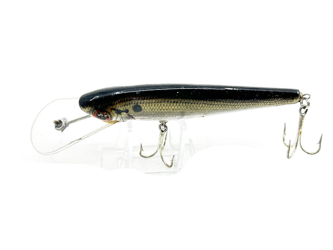 Bagley Monster Shad MSD Shad Color - Older Version