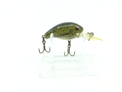 Rapala Dive To Dt 6 JOE WILSON CUSTOM CPS CRAPPIE Musky Bass Fishing Lure  New
