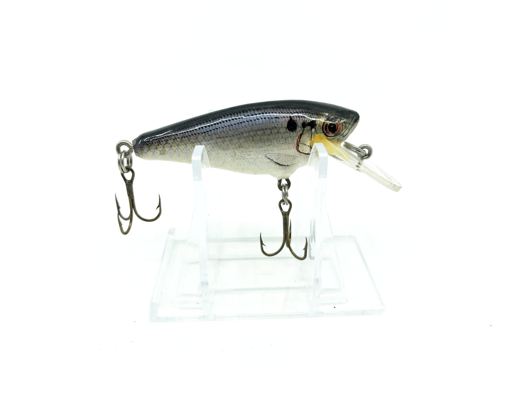 Bagley Small Fry Shad - Vintage Bait - Shad Color