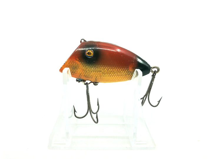 PICO Perch, Red/Yellow/Black Tail Color