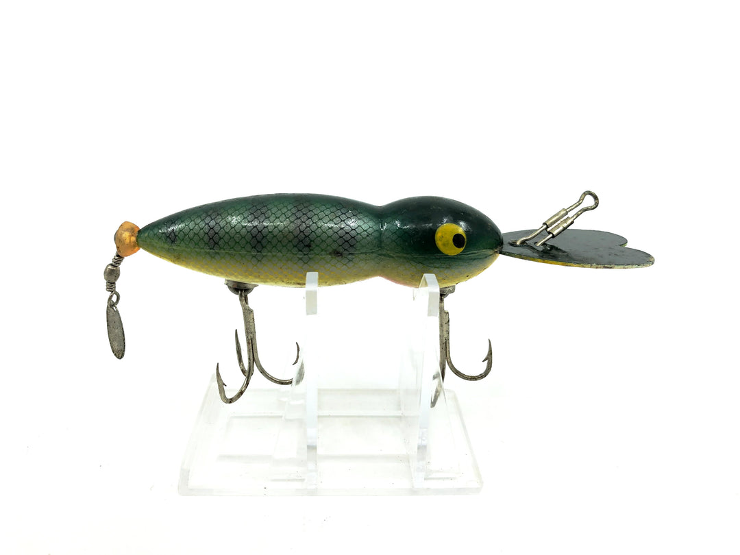 Whopper Stopper Hellbender, Perch Color