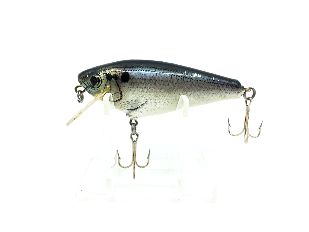 Bagley Small Fry Shad, Shad Color – My Bait Shop, LLC