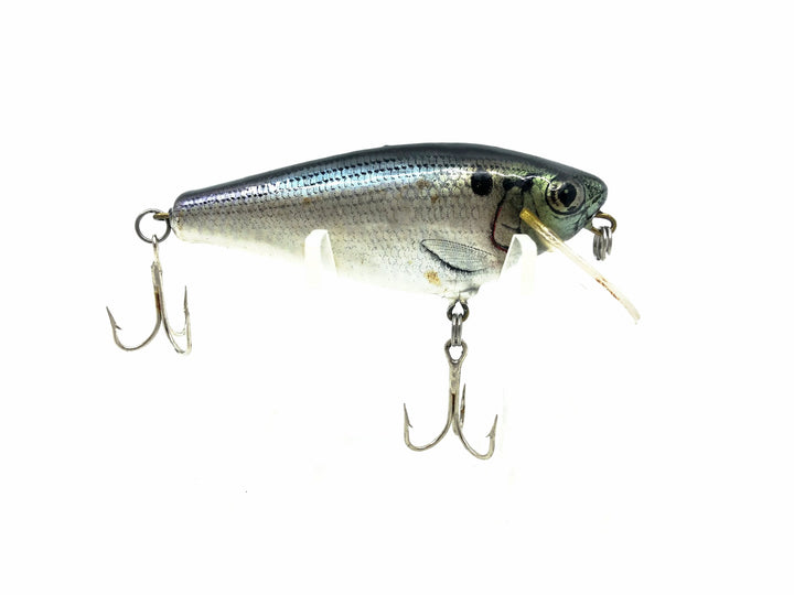 Bagley Small Fry Shad, Shad Color