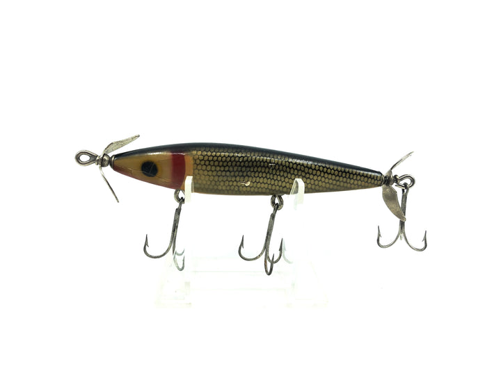 Barracuda Florida Shad, Black/Gold Scale Color