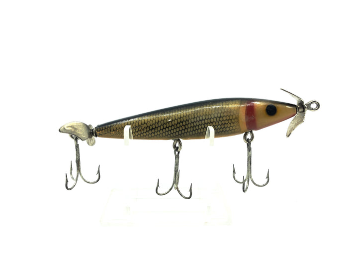 Barracuda Florida Shad, Black/Gold Scale Color