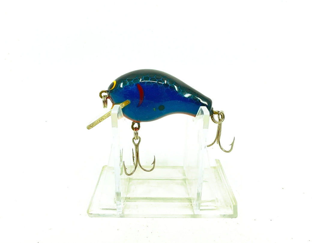 Bagley Kill'r B1 KB1-072, Black on Blue/Orange Belly Color