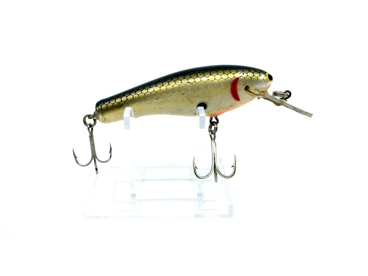 Bagley DB03-TS Tennessee Shad Color S Lip