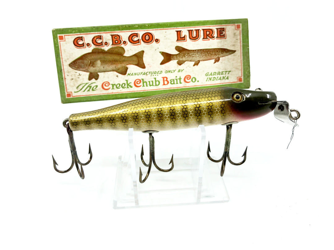 Creek Chub 700 Pikie in Pikie Color with Box & Order Form