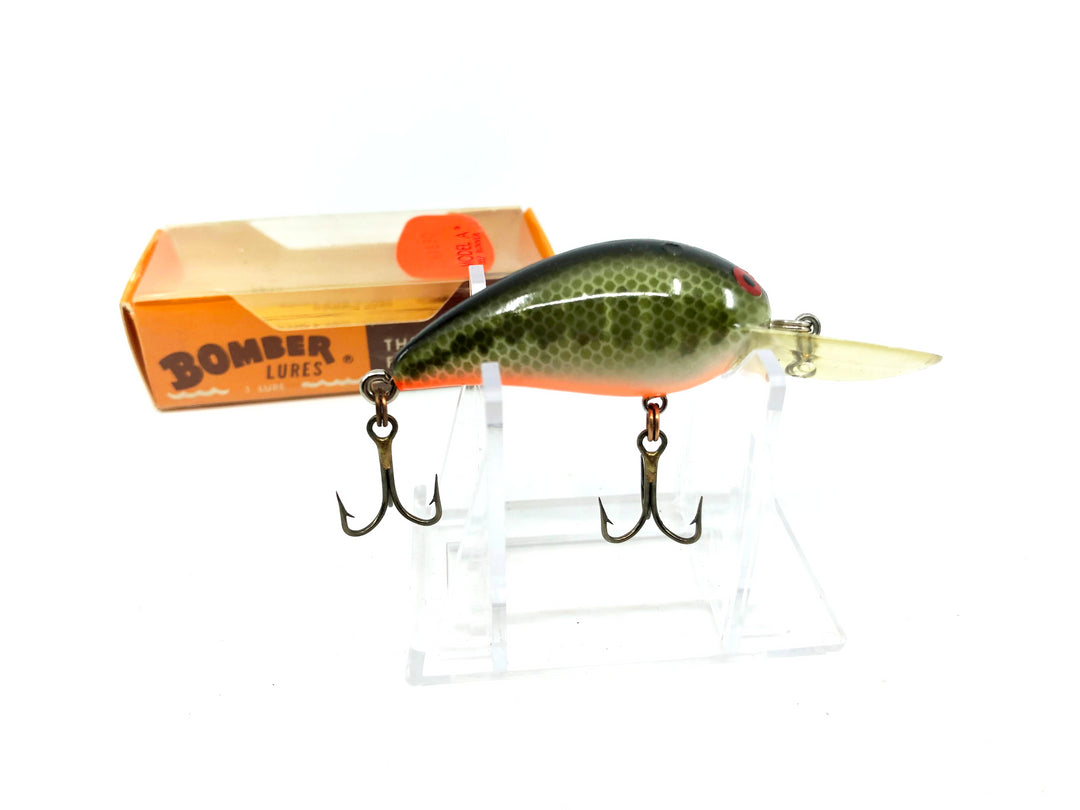 Bomber Model A Screwtail 6A BBO Baby Bass Orange Belly Color New in Box Old Stock-Screwtail