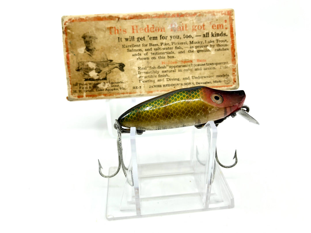 Heddon River Runt 9119L Perch Color with Brush Box / Paper