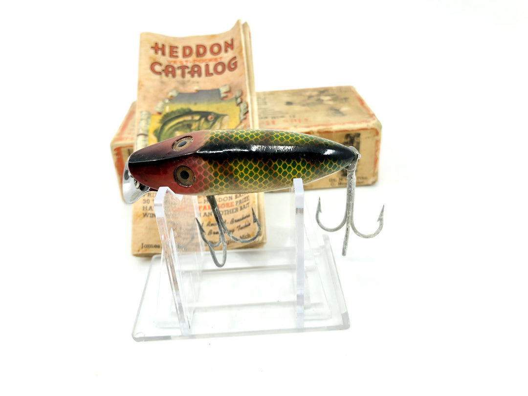 Heddon River Runt 9119L Perch Color with Brush Box / Paper