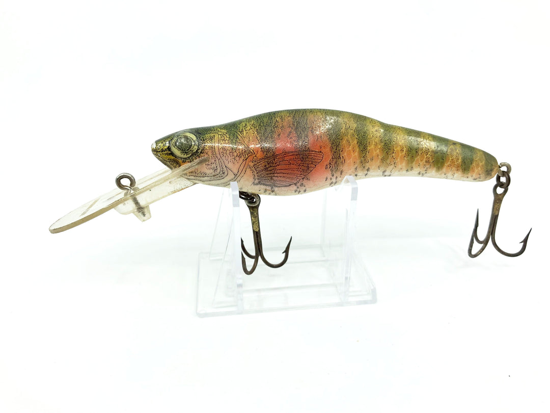 Crankbait Corp Fingerling "Yearling" 5" Size Perch Color 6