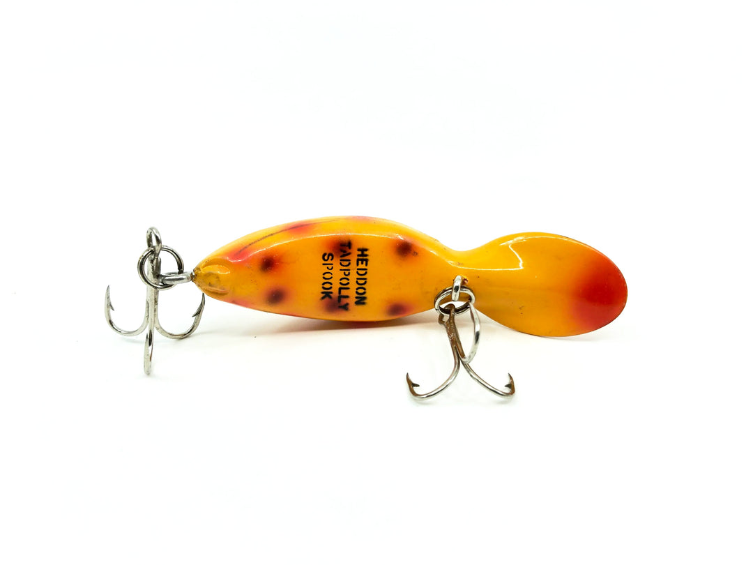 Heddon Tadpolly Spook SO Spotted Orange Color