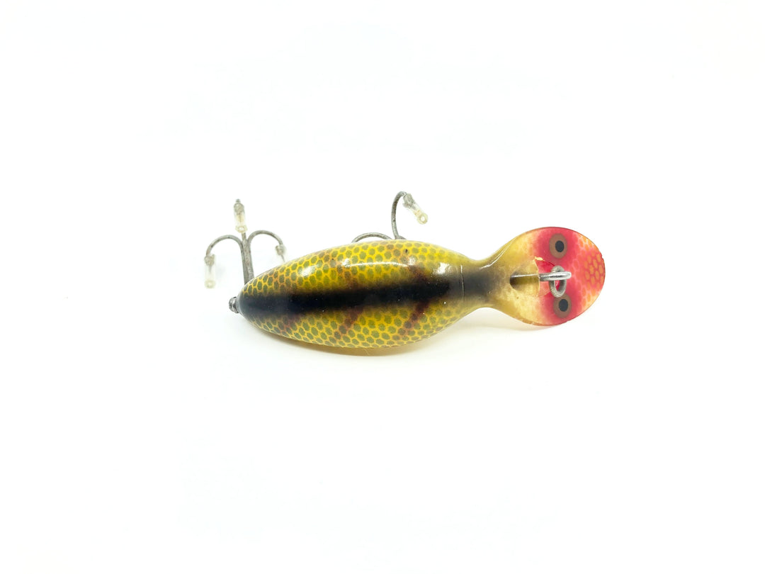 Heddon Tadpolly Spook L Perch Color