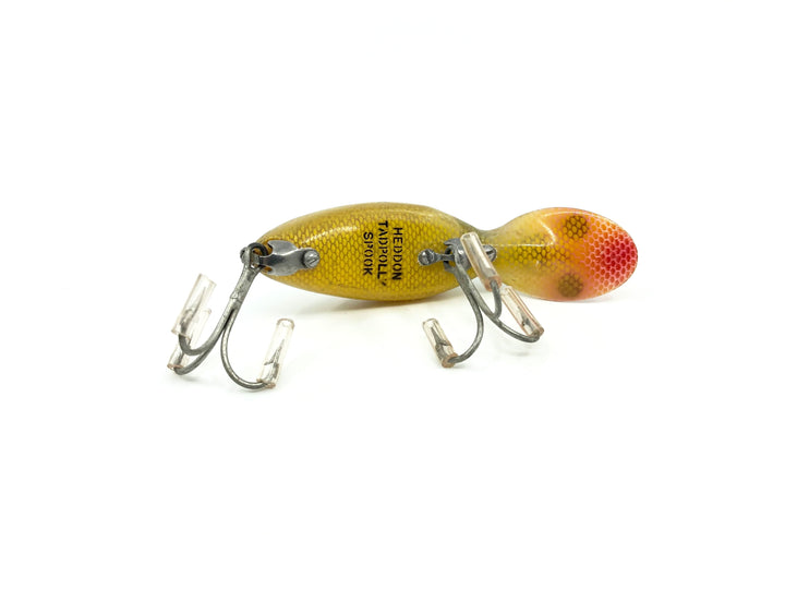 Heddon Tadpolly Spook L Perch Color