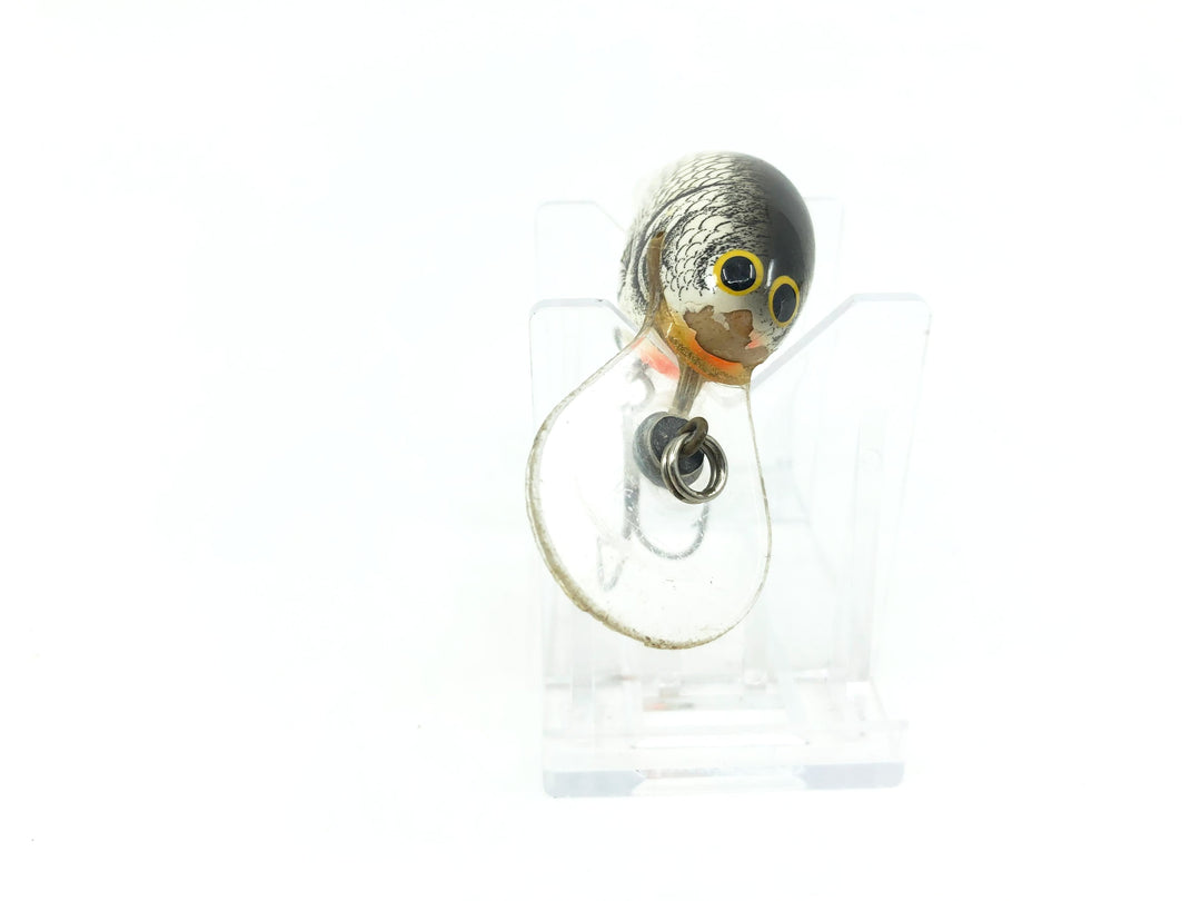 Bagley Diving Kill'r B2 DKB2-TLS True Life Shad Color