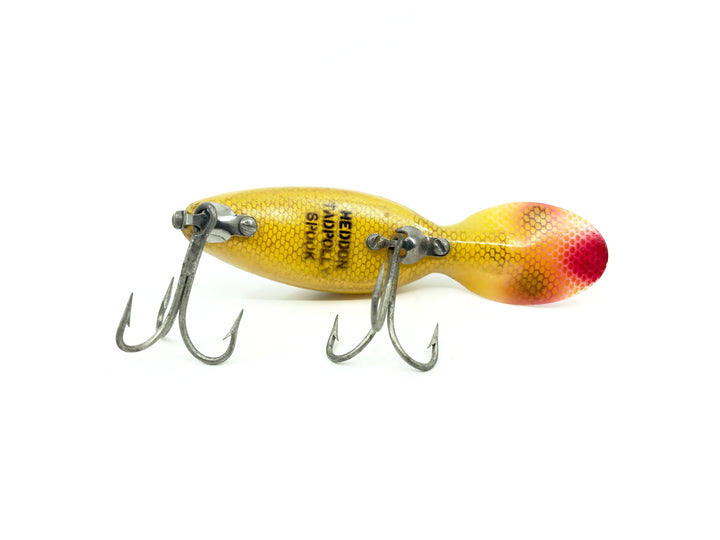 Heddon Tadpolly Spook L Perch Color