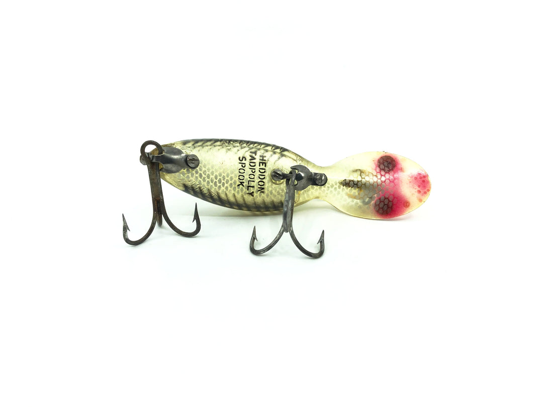 Heddon Tadpolly Spook XRS Silver Shore Color