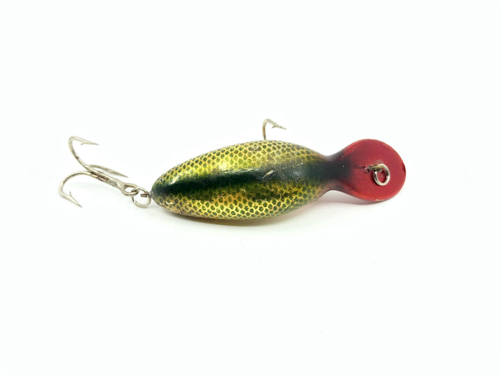 Heddon Tadpolly GL Golden Perch Color