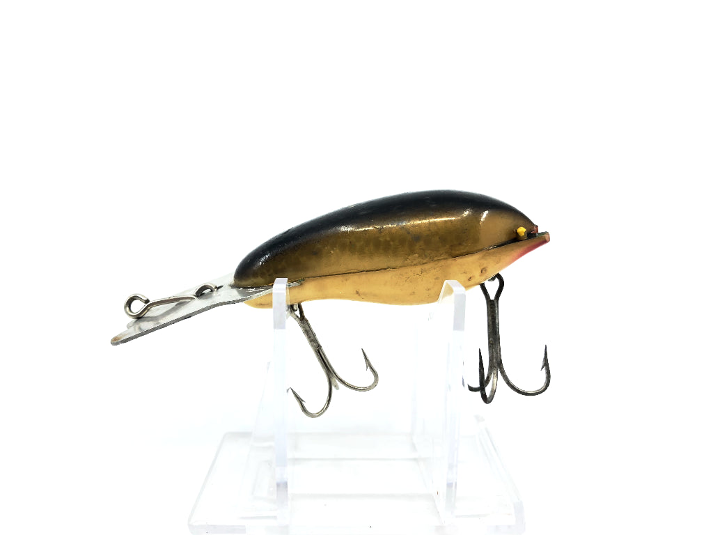 Arbogast Mud Bug Gold Scale Black Back Color