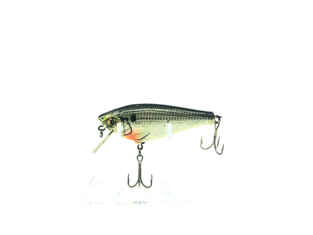 Bagley Small Fry 3" Shad, SH4 Shad on White Color