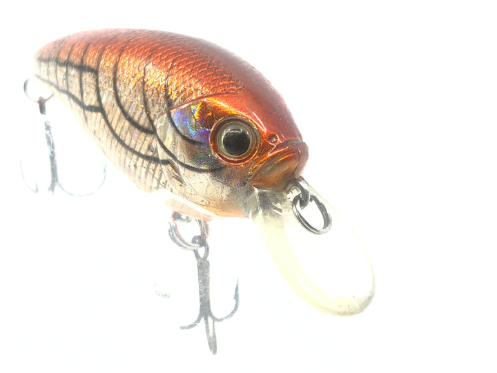 Toad Face Lure Crawdad