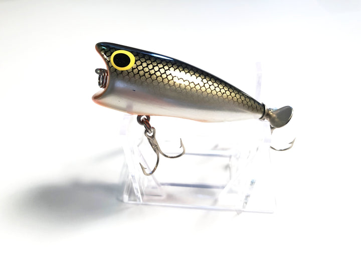 Bagley Pop'N B-2 Lure in a Nice Color