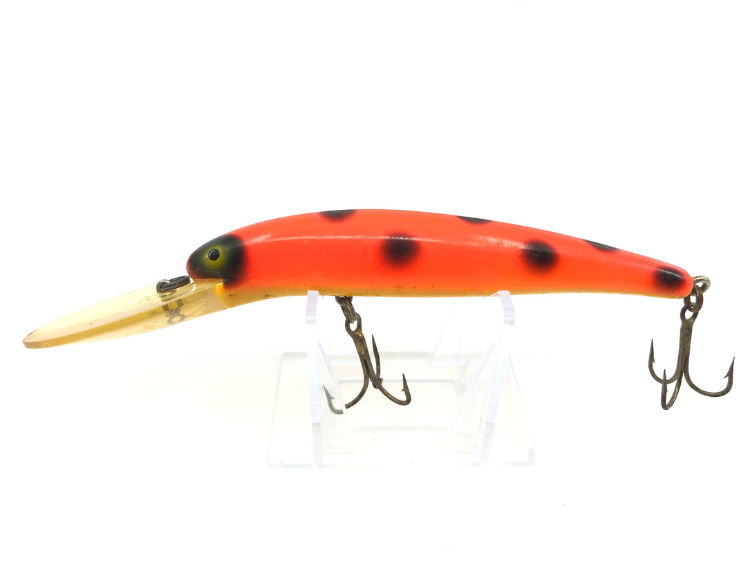 Bomber Long A 25A Orange with Black Dots Yellow Belly Color Screwtail