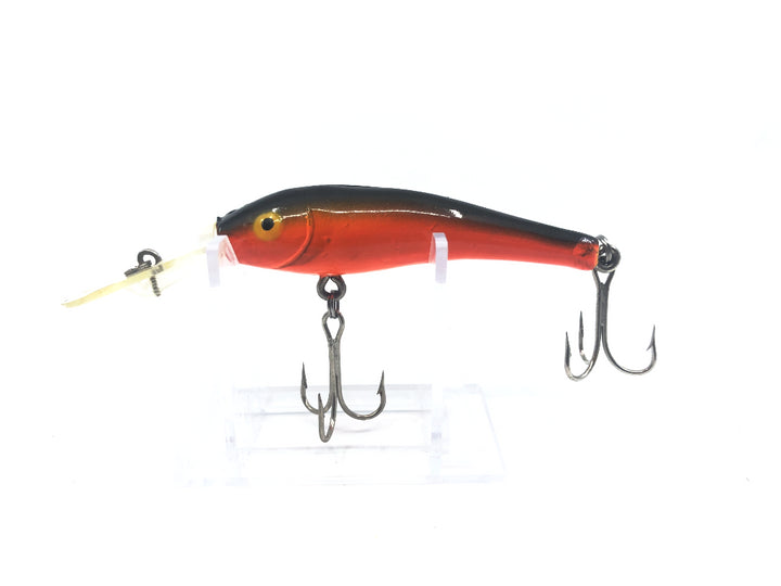 Orange and Black Back Minnow